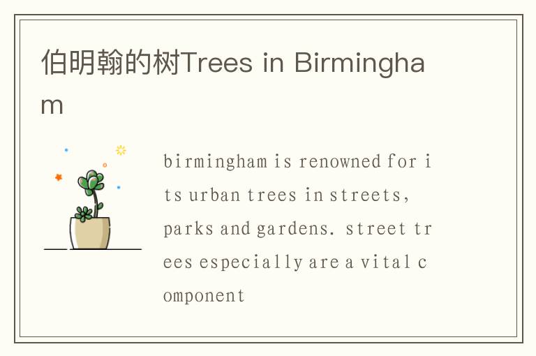 伯明翰的树Trees in Birmingham